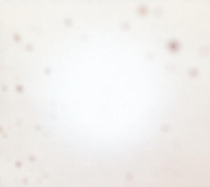 Yo La Tengo – There's a Riot Going On (LP)