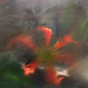 Upsammy – Germ In a Population of Buildings (LP)