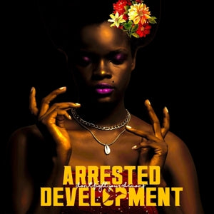 Arrested Development – Don't Fight Your Demons (LP)