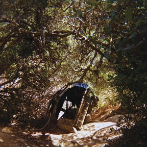 Ty Segall – Possession (LP)