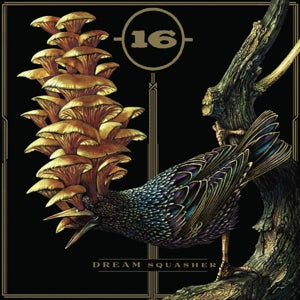 16 – Dream Squasher (LP)