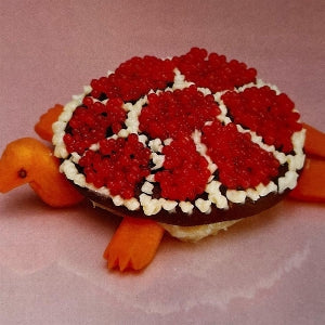 Sharp Pins – Turtle Rock (LP)