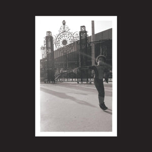 Irreversible Entanglement – Open the Gates (LP)
