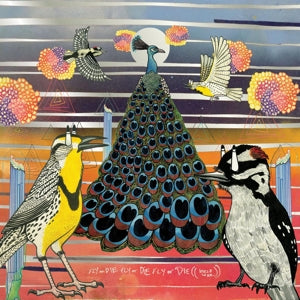 Jaimie Branch – Fly or Die Fly or Die Fly or Die ((World War)) (LP)