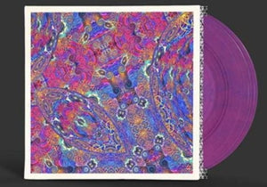 Carlos Nino & Friends – Placenta (LP)
