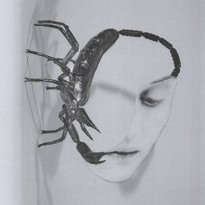 Tortoise – Touch (LP)