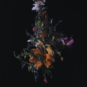 Big Brave – Nature Morte (LP)