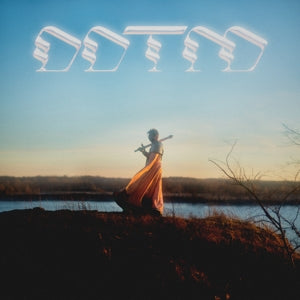 Foxing – Draw Down the Moon (LP)