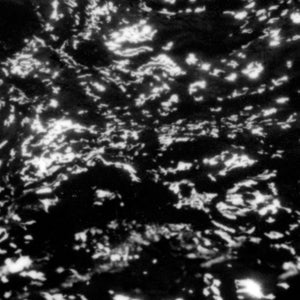 Grouper – Aia: Dream Loss (LP)