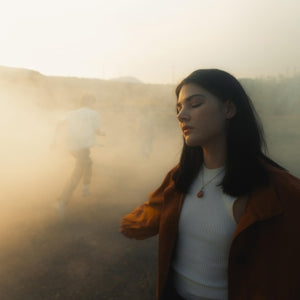 Sunsleeper – While You Can (LP)