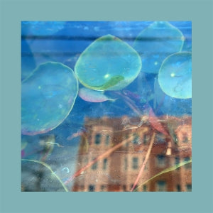 Reds Pinks & Purples – Acknowledge Kindness (LP)