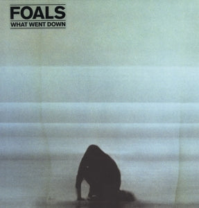 Foals – What Went Down (LP)