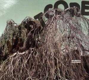 Wildbirds & Peacedrums – Heartcore (LP)