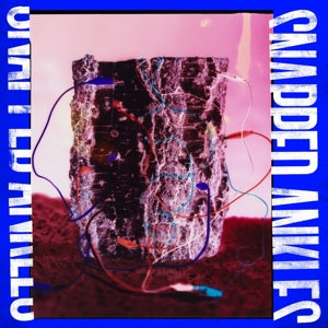 Snapped Ankles – Forest of Your Problems (LP)
