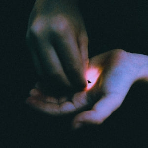 Bambara – Stray (LP)