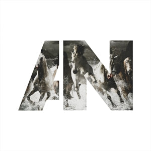 Awolnation – Run (LP)