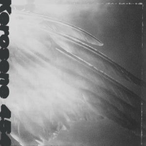 Kerosene 454 – Came By To Kill Me (LP)