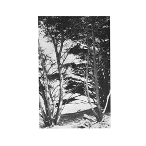 Rick Deitrick – Gentle Wilderness (LP)