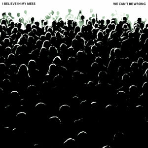 I Believe In My Mess – We Can't Be Wrong (LP)