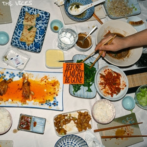 Vices – Before It Might Be Gone (LP)