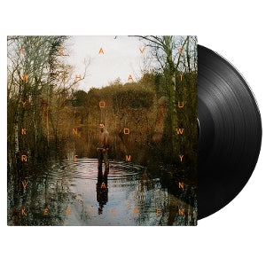 Remy Van Kesteren – Leave What You Know (LP)