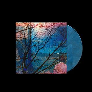 Idlewild – Idlewild (LP)