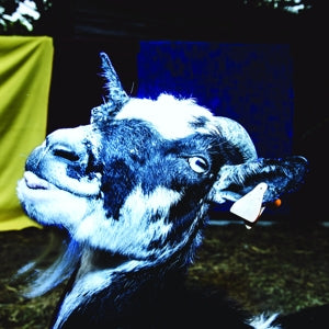 Barely Autumn – Day Trip To the Petting Zoo (LP)