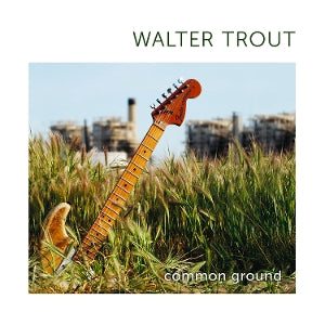 Walter Trout – Common Ground (LP)
