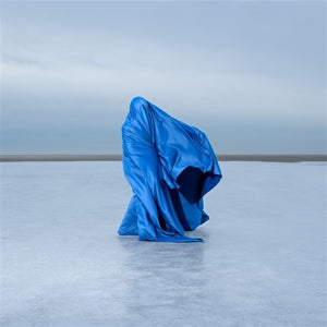 Fuis – Here's To Asking For Help (LP)