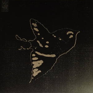 Daitro – Des Cendres