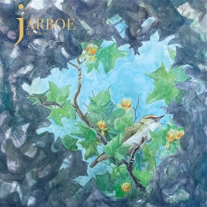 Jarboe – Sightings (LP)