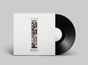 Waltzburg – Black Cat On Your Doormat (LP)