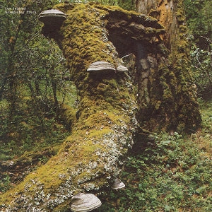Jan Jelinek – Kosmischer Pitch (LP)