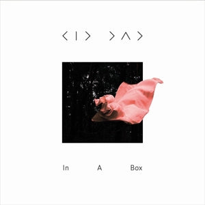 Kid Dad – In a Box (LP)