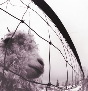 Pearl Jam – Vs. Vinyl Edition (Remastered) (LP)