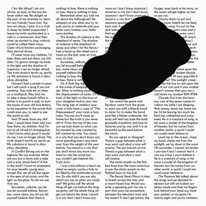 Owen Pallett – In Conflict (LP)