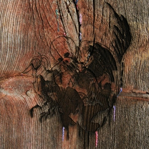 Avey Tare's Slasher Flicks – Enter the Slasher House (LP)