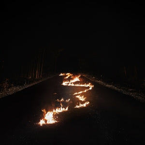 Bob Moses – Battle Lines (LP)