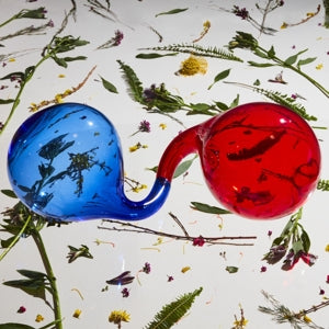 Dirty Projectors – Lamp Lit Prose (LP)