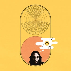 Drugdealer – End of Comedy (LP)