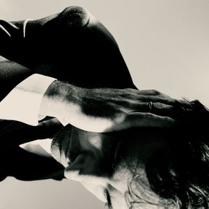 Andrew Bird – Inside Problems (LP)