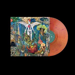 The Revivalists – Pour It Into the Night (LP)