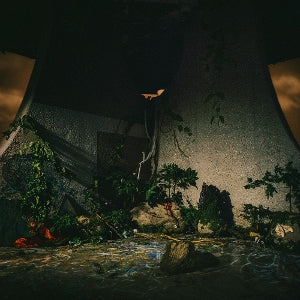 The Plot In You – The Plot In You (LP)