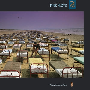 Pink Floyd – A Momentary Lapse of Reason (LP)