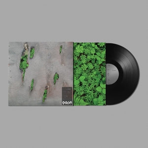 Koreless – Agor (LP)