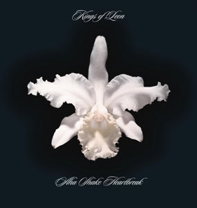 Kings of Leon – Aha Shake Heartbreak (LP)