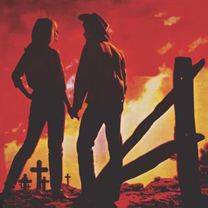 Various – Troubled Troubadours (LP)